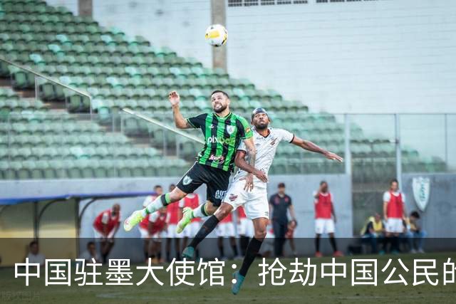 中国驻墨大使馆：抢劫中国公民的两名嫌疑人中 一人已经落网