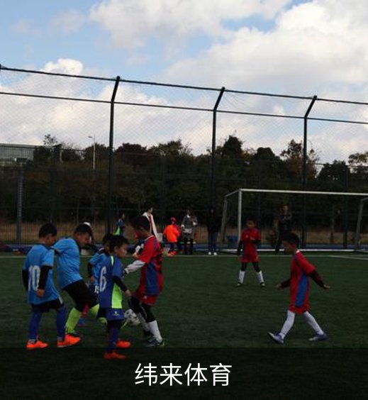 了解纬来体育